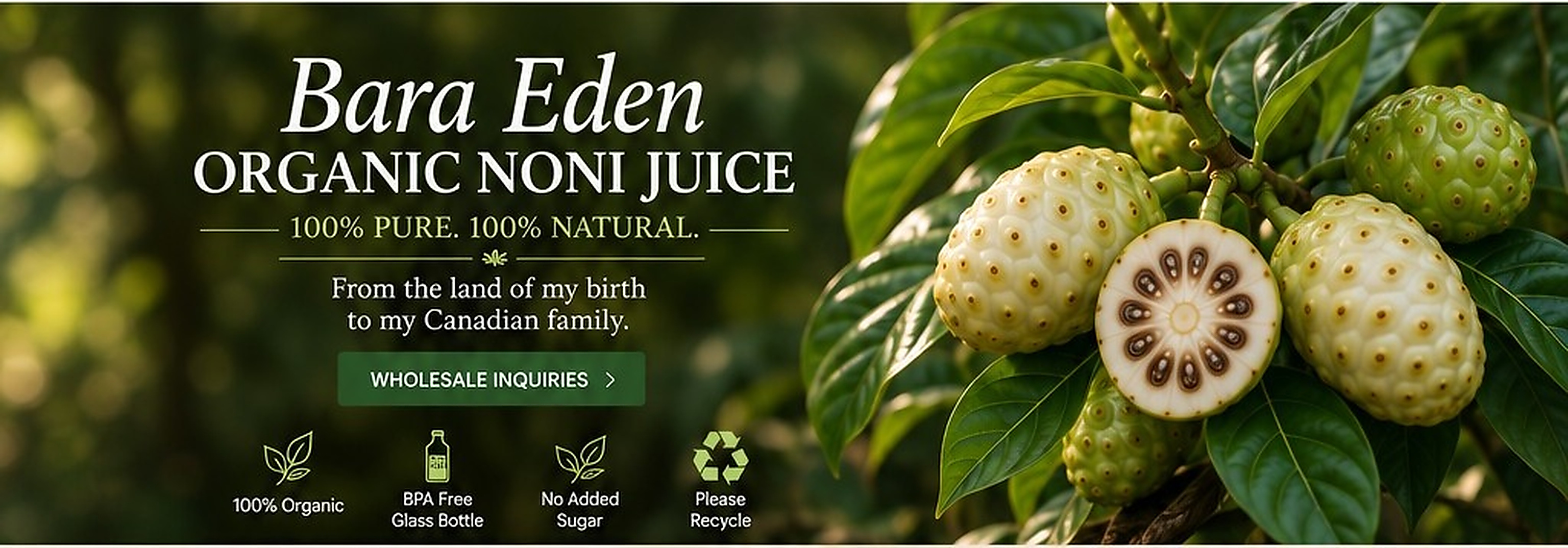 BARA EDEN organic noni fruit